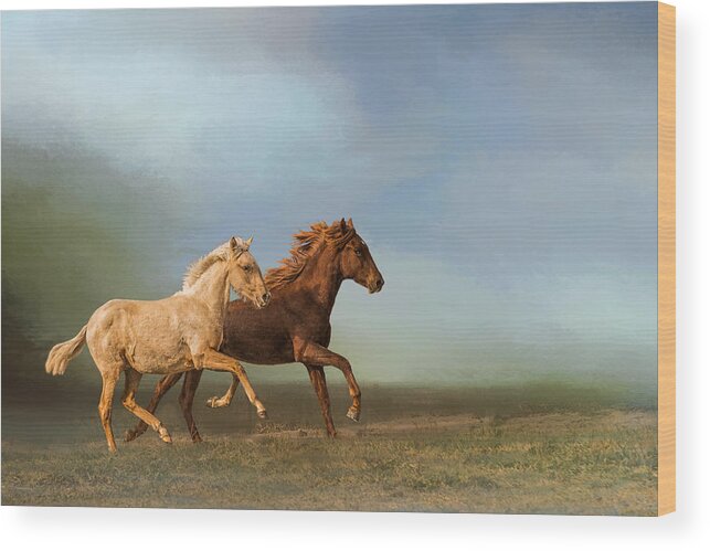Horses Wood Print featuring the photograph Morning Light by Peggy Blackwell