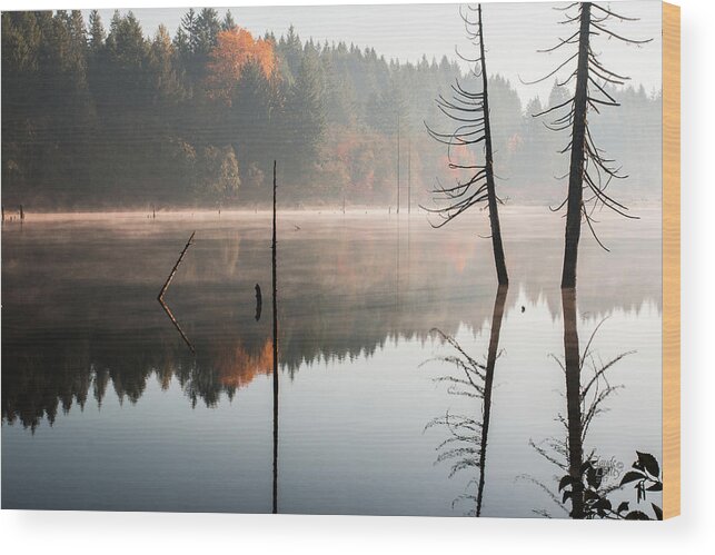 Landscapes Wood Print featuring the photograph Morning Mist On A Quiet Lake by Claude Dalley