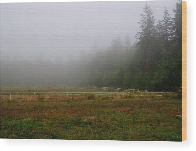 Poulsbo Wood Print featuring the photograph Morning Mist Solitude by Tikvah's Hope