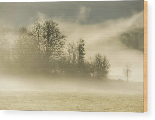 Fog Wood Print featuring the photograph Morning Mood 0741 by Kristina Rinell