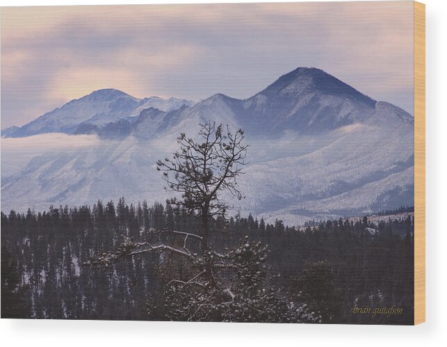 Landscape Wood Print featuring the photograph Morning Mountain Range by Brian Gustafson