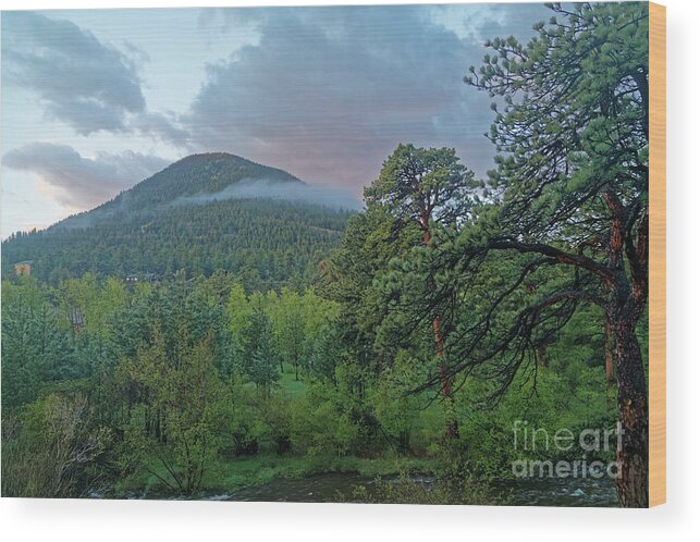 Colorado Wood Print featuring the photograph Morning on the Mountain by Natural Focal Point Photography
