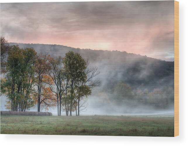 Arkansas Wood Print featuring the photograph Morning Serenity by James Barber