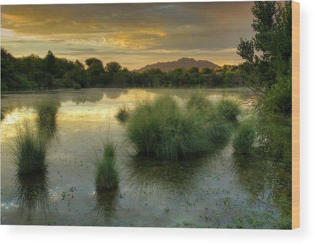 Serene Wood Print featuring the photograph Morning Serenity by Sue Cullumber