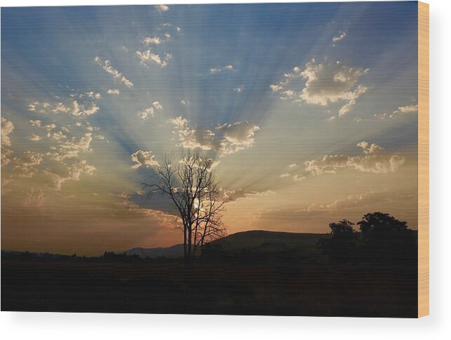 Morning Sun Rays Wood Print featuring the photograph Morning sun rays by Lynn Hopwood