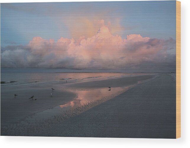 Water Wood Print featuring the photograph Morning Walk on the Beach by Kim Hojnacki