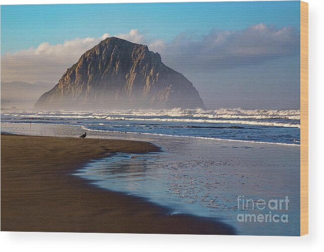Morro Bay Wood Print featuring the photograph Morro Rock and the Shoreline by Mimi Ditchie