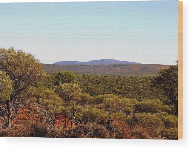 Australia Wood Print featuring the photograph Mount Gibson Station to Mt Singleton by Tony Brown