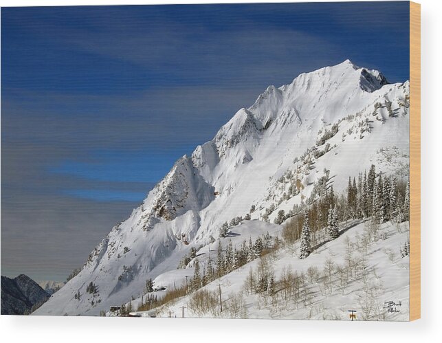 Landscape Wood Print featuring the photograph Mount Superior in Winter by Brett Pelletier