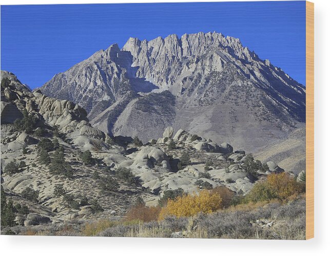 Owens Valley Wood Print featuring the photograph Basin Mountain by Tammy Pool