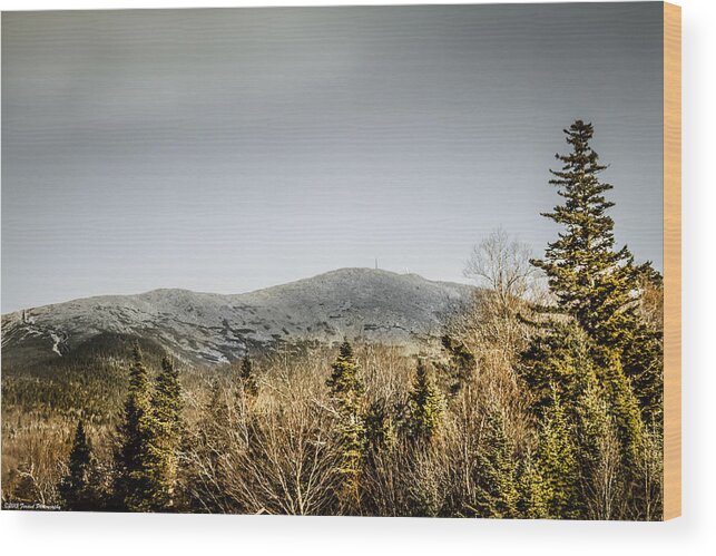 Scenic Wood Print featuring the photograph Mount Washington by Debra Forand