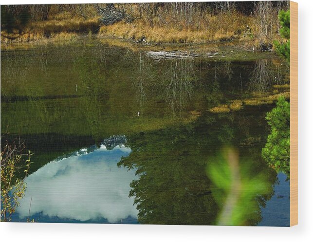 Photo Wood Print featuring the photograph Mountain Reflections by Julie Clements