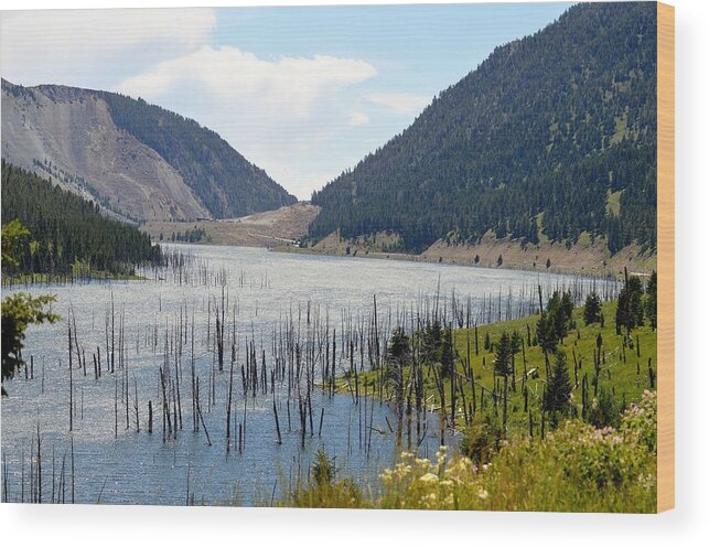 Wood Print featuring the photograph Mountain River by Michelle Hoffmann
