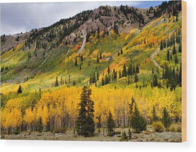 Aspen Wood Print featuring the photograph Mountain Side Autumn by Lana Trussell