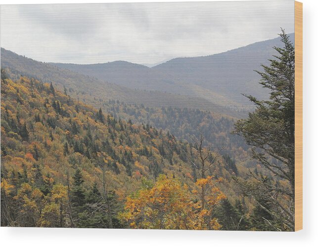Mountains Wood Print featuring the photograph Mountain Side Long View by Allen Nice-Webb