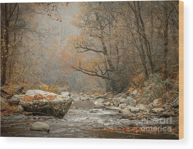 Mountain Wood Print featuring the photograph Mountain Stream in Fall #2 by Tom Claud