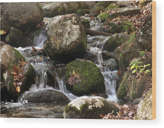 Stream Wood Print featuring the photograph Mountain stream through rocks by Emanuel Tanjala