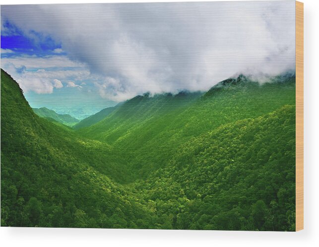 Forest Wood Print featuring the photograph Mountain valley by MotHaiBaPhoto Prints