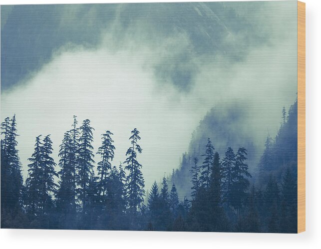 British Columbia Wood Print featuring the photograph Mountains and Fog by Michele Cornelius