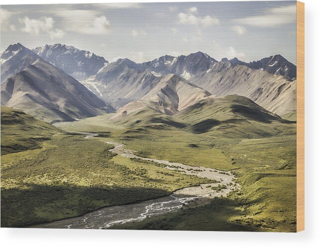 Mountains In Denali National Park Wood Print featuring the photograph Mountains in Denali National Park by Phyllis Taylor