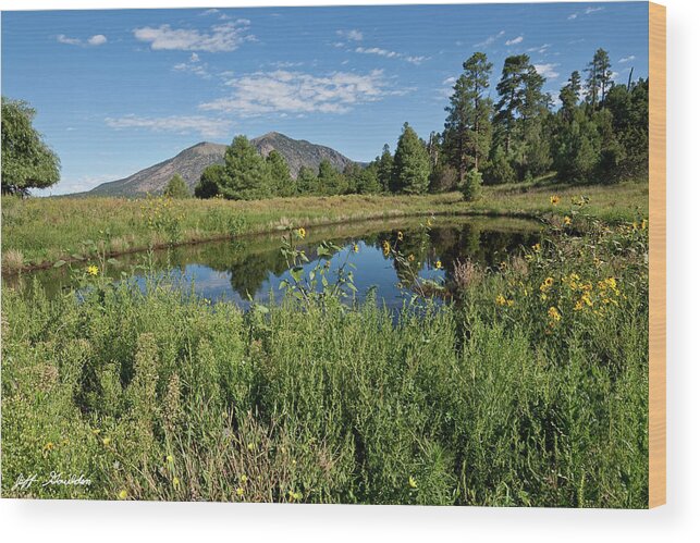 Arizona Wood Print featuring the photograph Mountains Reflected in a Pond by Jeff Goulden