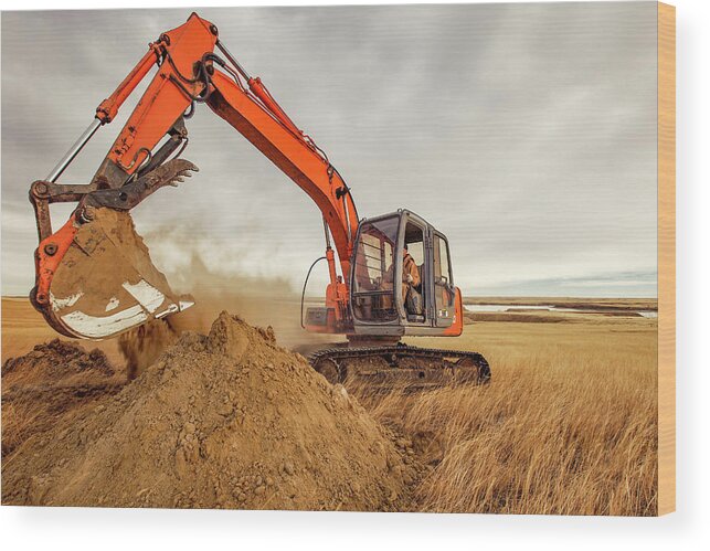 Crane Wood Print featuring the photograph Moving Earth by Todd Klassy