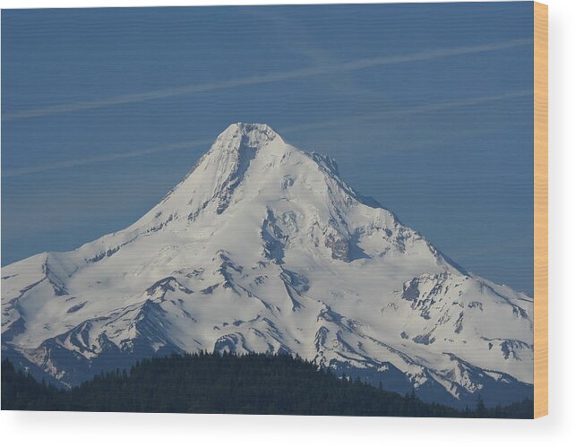 Mt. Hood Wood Print featuring the photograph Mt. Hood M2006 by Mary Gaines