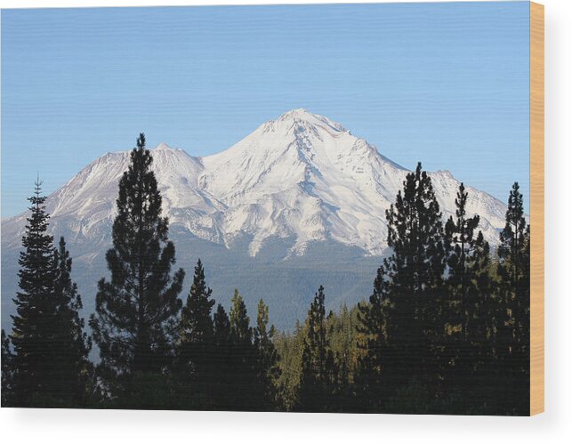 Mt.shasta Wood Print featuring the photograph Mt. Shasta - Her Majesty by Holly Ethan
