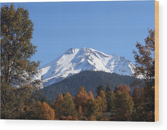 Nature Wood Print featuring the photograph Mt. Shasta Framed by Holly Ethan