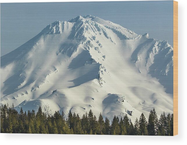 Landscape Wood Print featuring the photograph Mt Shasta in Early Morning Light by Marc Crumpler