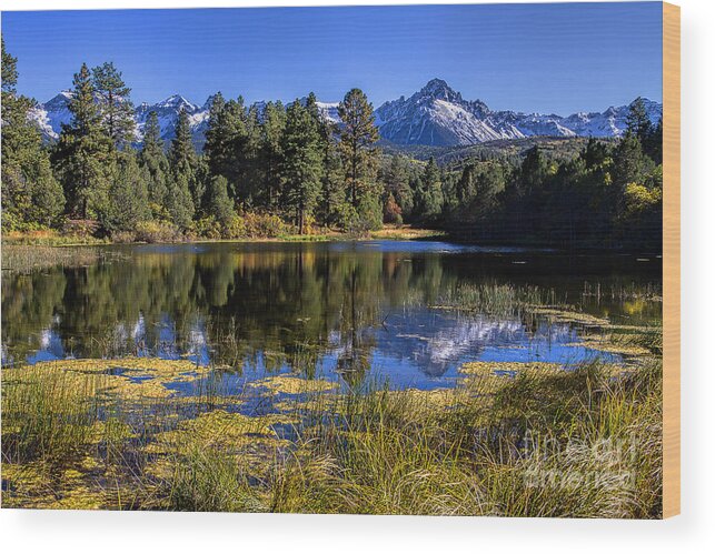 Mt. Sneffels Wood Print featuring the photograph Mt. Sneffels Reflection by Jim Garrison