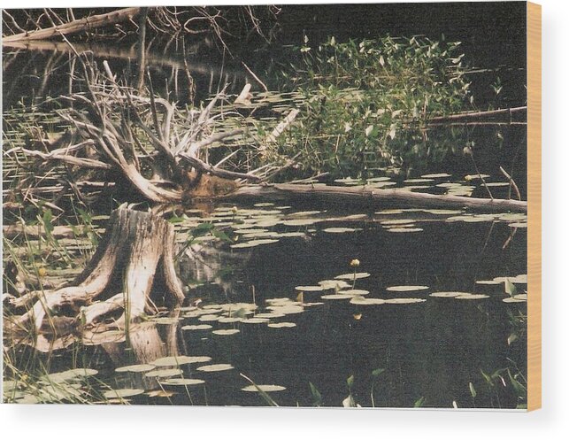 Lake Wood Print featuring the photograph Mud Lake Landscape - Photograph by Jackie Mueller-Jones