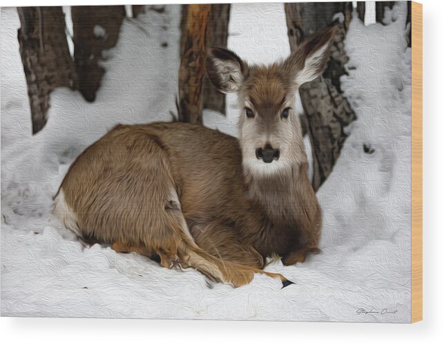 Mule Wood Print featuring the digital art Mule Deer - Digital Oil by Birdly Canada
