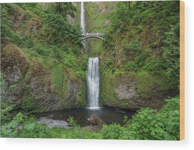 Multnomah Falls Wood Print featuring the photograph Multnomah Falls in Spring by Greg Nyquist