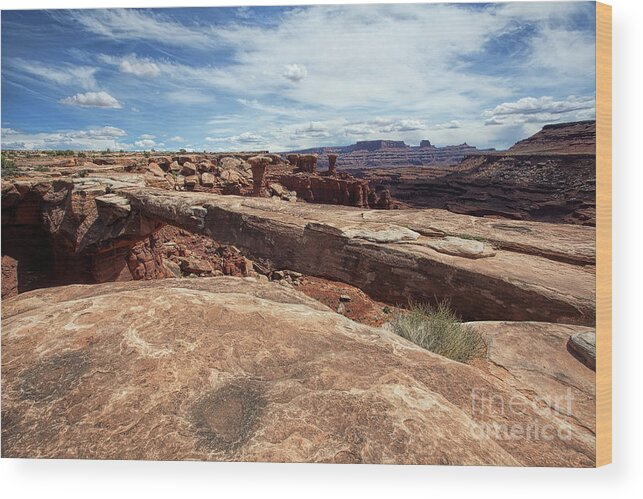 Utah Landscape Wood Print featuring the photograph Musselman Arch by Jim Garrison