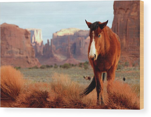 Mustang Wood Print featuring the photograph Mustang by Nicholas Blackwell