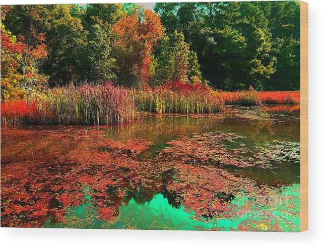 Lake Wood Print featuring the photograph My Back Yard by James and Donna Daugherty