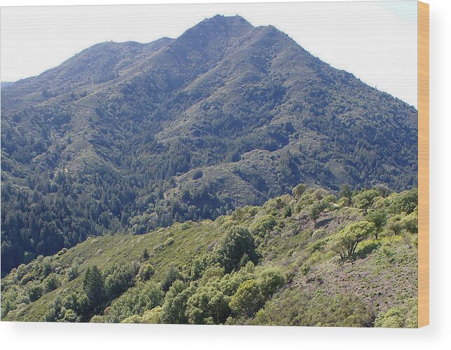 Mount Tamalpais Wood Print featuring the photograph My Favorite Mountain by Ben Upham III