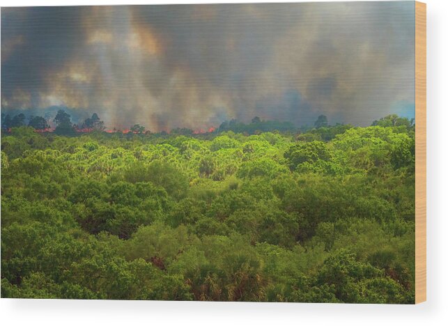 North Port Florida Wood Print featuring the photograph Myakka River Burn by Tom Singleton