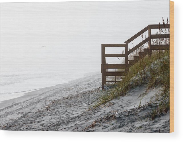 Jacksonville Beach Wood Print featuring the photograph Mystery Beach by Anthony Baatz