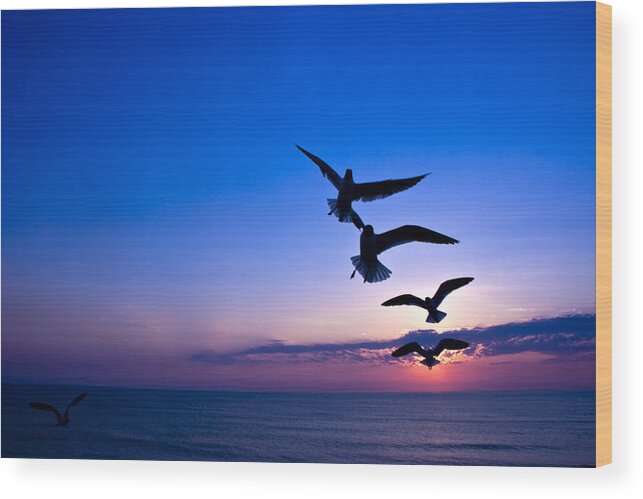 Ocean Wood Print featuring the photograph Nags Head Sunrise by Ches Black