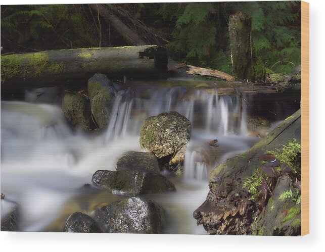 Creek Wood Print featuring the photograph Nancy Creek 5 by Loni Collins