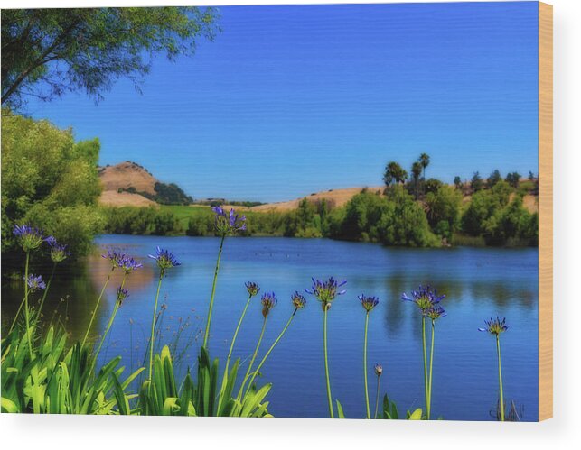 Napa Wood Print featuring the photograph Napa Serenity by Stephen Anderson