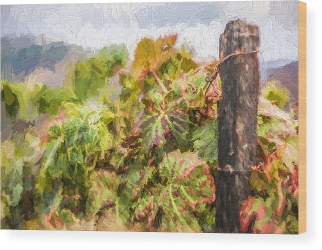 David Letts Wood Print featuring the painting Napa Vineyard by David Letts