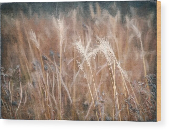 Scott Norris Photography Wood Print featuring the photograph Native Grass by Scott Norris