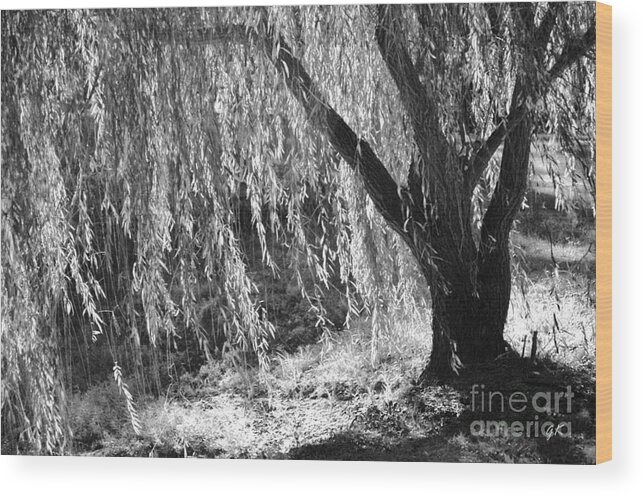 Contemorary Art Wood Print featuring the photograph Natural Screen by Gerlinde Keating - Galleria GK Keating Associates Inc