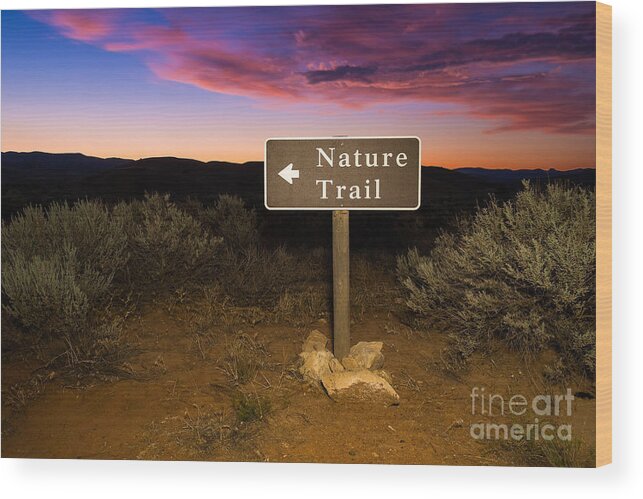 Dramatic Sky Wood Print featuring the photograph Nature Trail Sign at Sunrise by Bryan Mullennix