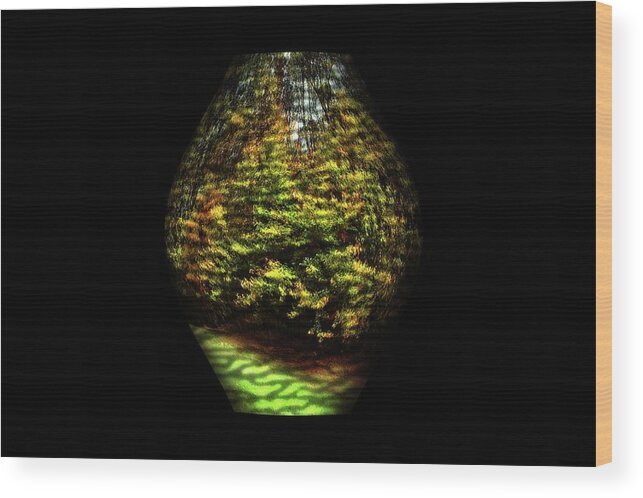 Nature Wood Print featuring the photograph Nature Vase 1 by Angie Tirado