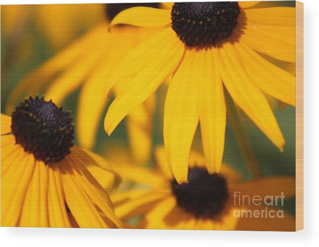 Yellow Wood Print featuring the photograph Nature's Beauty 52 by Deena Withycombe