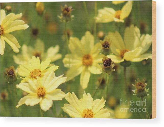 Yellow Wood Print featuring the photograph Nature's Beauty 61 by Deena Withycombe